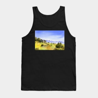 Ruined miner's hut, Welshtown, Bendigo Tank Top